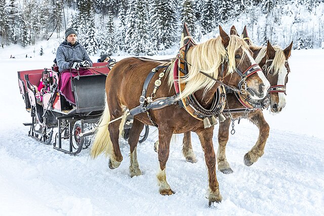 Per Pferdekutsche das winterliche Flachautal erleben.