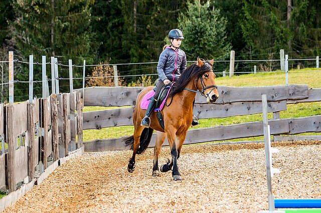 Das Glück dieser Erde liegt auf dem Rücken der Pferde, denn Reiten ist etwas ganz Besonderes