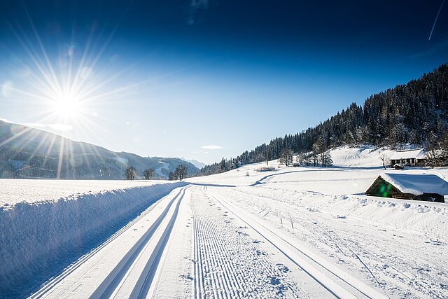 <p>The Schloss Höch cross-country ski track in Reitdorf - cross-country skiing and enjoying the nature around the idyllically situated Schloss Höch.</p>