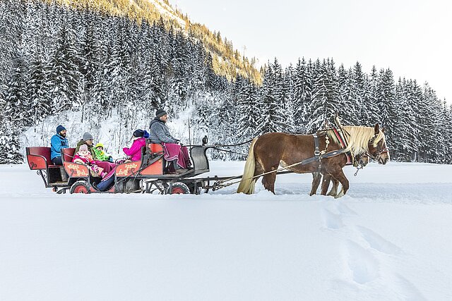 Romantische Pferdeschlittenfahrt durchs winterliche Flachautal